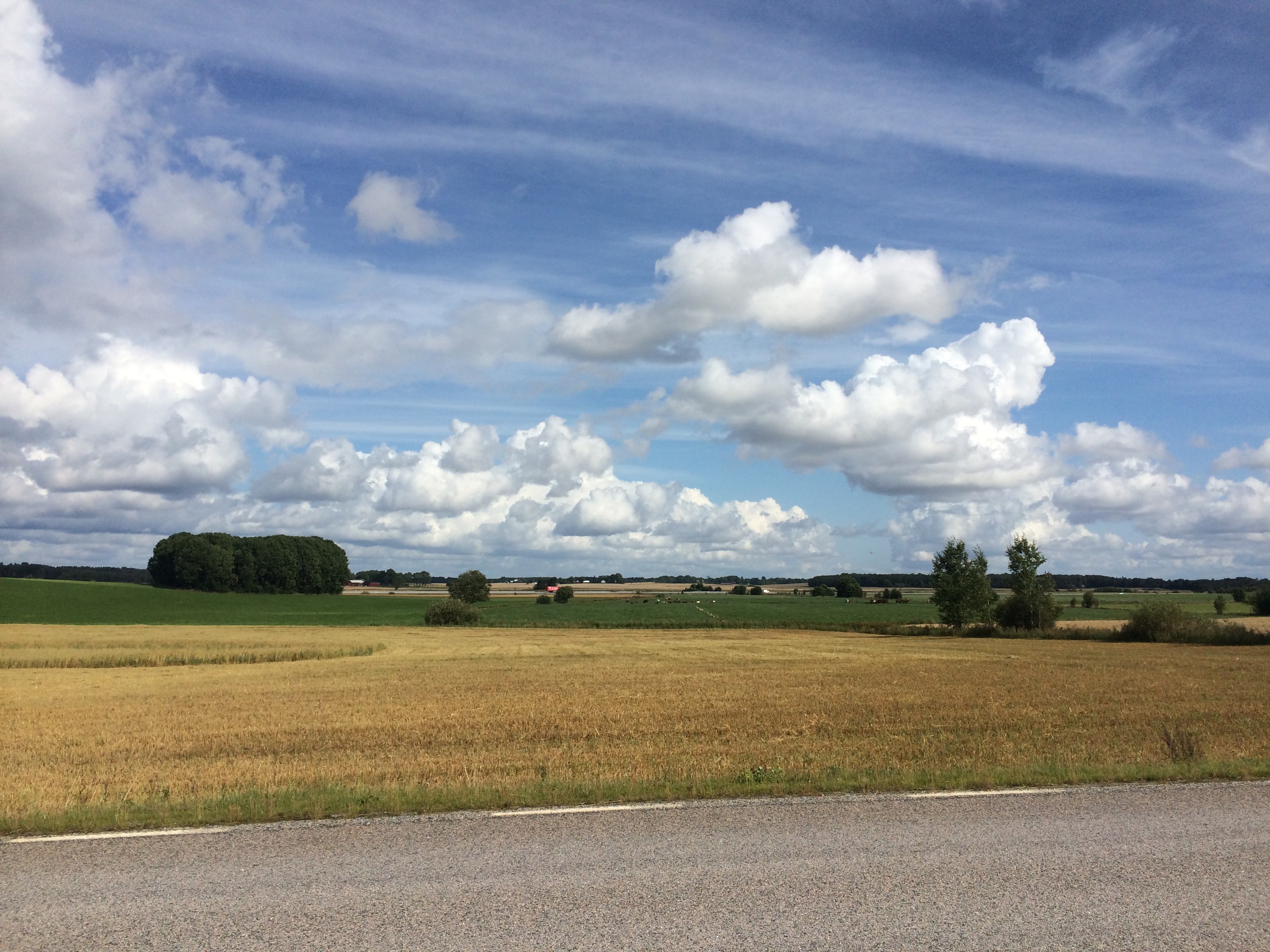 140813 natur2